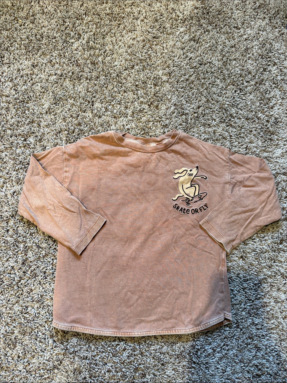 Zara Kids Skate or Fly Graphic Long Sleeve Tee